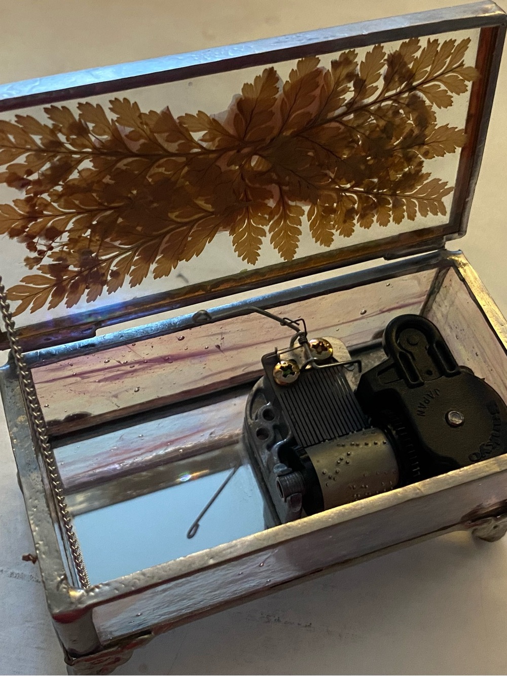 Workshop Republic Clothing Silver-Tone Music Box with Pressed Fern Lid